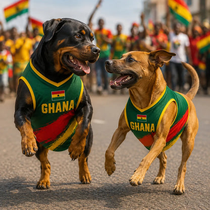Personalized Ghana Pet Soccer Jersey